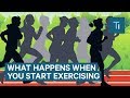 What happens to your body when you start exercising regularly  the human body