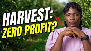 Why 90% of Farmers make Sales but Zero Profit