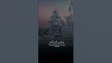 أمن يجيب المضطر إذا دعاه //ياسر الدوسري//تلاوة خاشعة//تلاوة مؤثرة//تلاوة هادئة