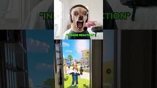 Dog's unhinged reaction to real life Roblox portal #roblox #funny