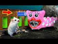  train eater kissy missy vs hamster maze with traps  poppy playtime trevor henderson in real life