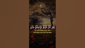 قرآن كريم القارئ ياسر الدوسري قراءة خاشعة 🥹❤️#قرآن #قران_كريم #خشوع#ياسر_الدوسري