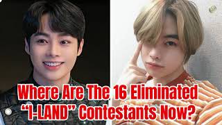 Where Are The 16 Eliminated “I-LAND” Contestants Now?