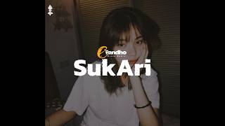 Sukari  Lagu Joget Slow  Fandho Rmxr 