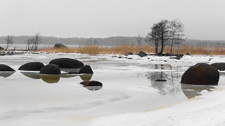 С Б Ф З  водыvsлёды 27.01.2021