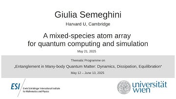 Giulia Semeghini - A mixed-species atom array for quantum computing and simulation