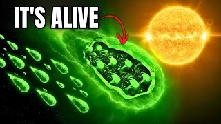 3I/ATLAS: Remote Viewer Saw Shocking Anomalies