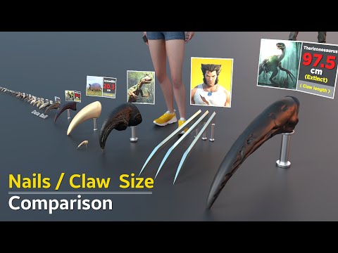 Claw / Nails Size Comparison | Animal size | Fictional size | Monster Size