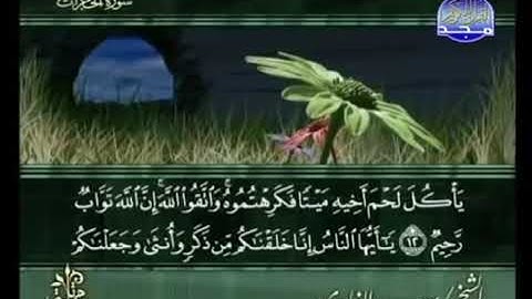 سورة الحجرات من الآية 10 الى 13 : التانية اعدادي
