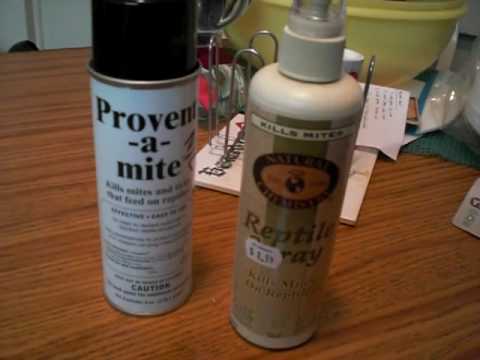 products of glycolysis Recommended Products for Eliminating Reptile Mites