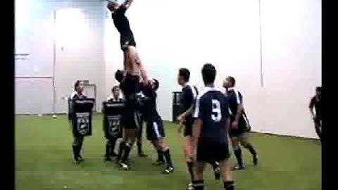 Rugby, The lineout