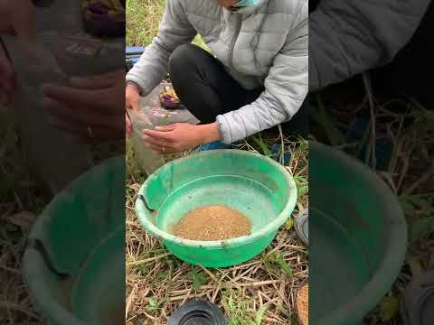 Video Chia sẻ cách pha mồi xả và mồi câu lão ngư cho anh em ! - youtube