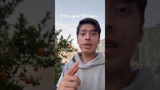 If This Video Gets 120 Likes I Will