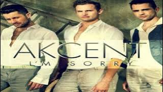 Akcent - I'm Sorry Slowed