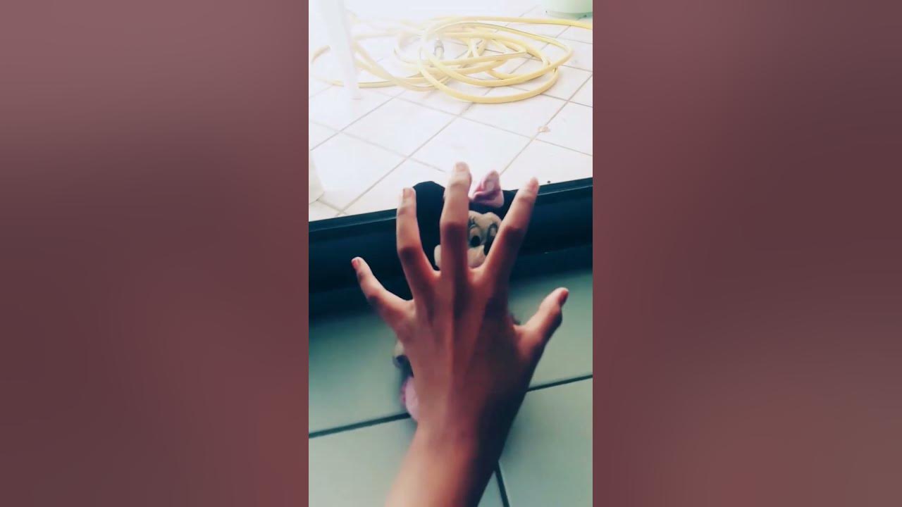 I wanna get rid of my homework😭#funny - YouTube