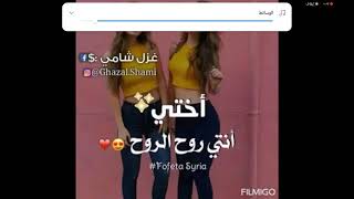 احبك يا اختي الكريمة إيلان 