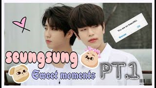 [STRAY KIDS] Seungsung couple sweet and cute moments Pt.1