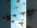 Kite Making | Kite Flying | Unique Kite designs