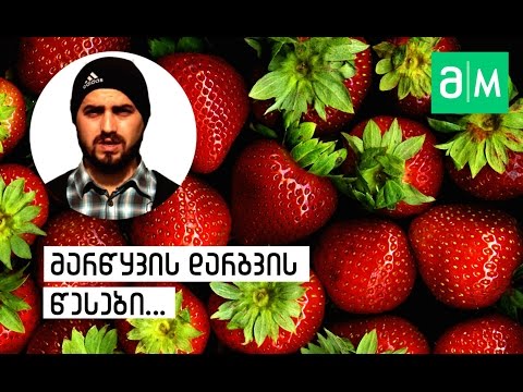 მარწყვის დარგვა