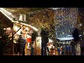 Берлинский зоопарк превратился в рождественский сад