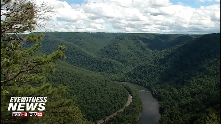 Wild Appalachia: Burnwood Old Growth Forest
