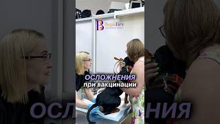 Какие осложнения бывают при вакцинации?