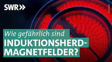 Welche Nachteile hat ein Induktionsherd?