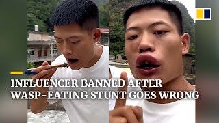 Chinese influencer banned after wasp-eating video stunt goes wrong