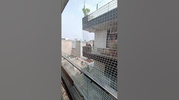 Pigeon net for balcony | lowest price Delhi NCR | Call 7840821383 #pigeonnet #birdnetting #birdnet