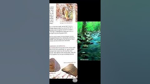 Class 5th Science Ch 10 Natural Resources