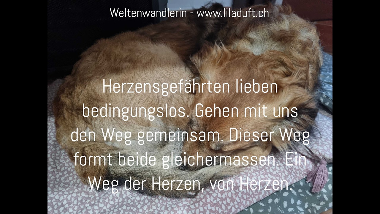 Den Herzensweg gehen!