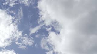 Alwis - Avril Feat. Uto Visualizer