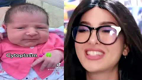 Tik Toks I Watch Instead Of Sleeping