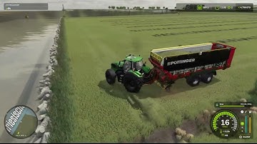 Gras in de kuil
