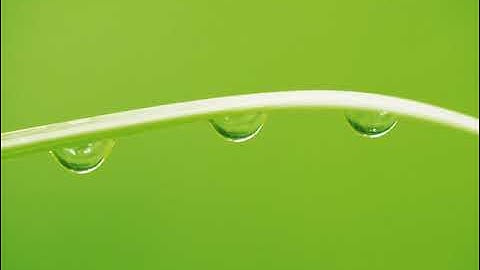 سورة الإنفطار بصوت القارئ مصطفى الغريب طه راجح