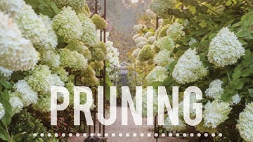 Pruning