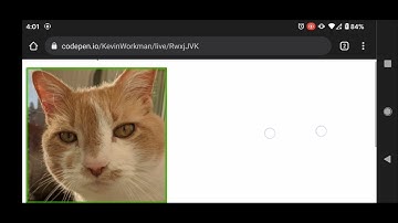 Accessibility - Images Without Alt Text