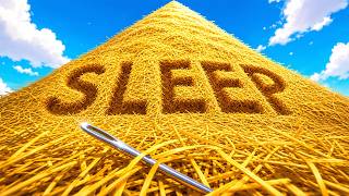 Fall Asleep While I Literally Find A Needle In a Haystack