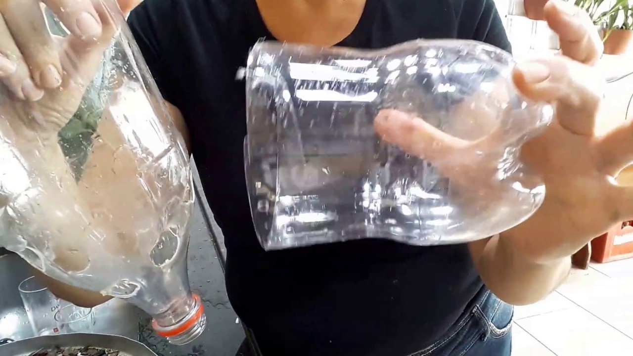 Como montar o pet para  replantar as orquídeas phalaenopsis