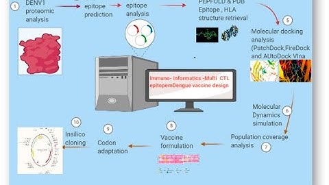 Immunoinformatics 1st draft