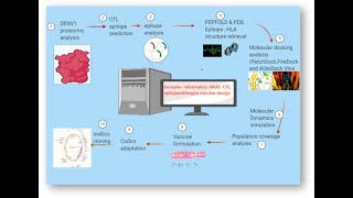Immunoinformatics 1st draft