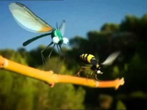 Minuscule a Fond La Caisse YouTube minuscule-a-fond-la-caisse-youtube