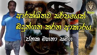 How to safely place a snake into a pot | සර්පයකු බදුන්ගත කරන අයුරු | Sihala youtube channel |සිහලා