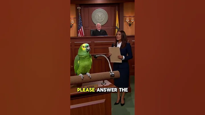 Courtroom Parrot Testifies Under Oath… and Roasts Everyone 😂🦜⚖️