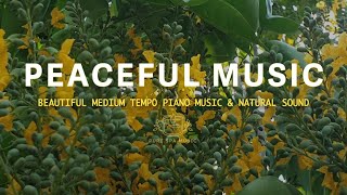 Getting Better Mood With Beautiful Relaxation Music 🦋 Pure Spa Music #piano #relaxingmusic