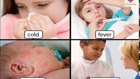 Health and Hygiene | Environmental Studies | Grade 5 | Periwinkle