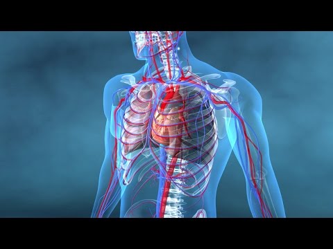 Vidéo: Le Paysage Des éléments De Répétition De L'ADN Dans L'insuffisance Cardiaque Humaine