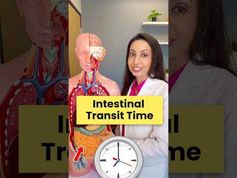 ⏰ Intestinal Transit Time Explained! #shorts #gutheath