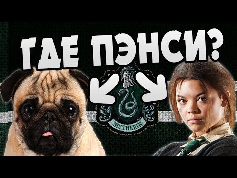 Video: Кантип үйдө пэнси көчөттөрүн өстүрсө болот