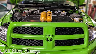 CAT Filters vs normal Filters... First fuel filter change by Holden Powell 1,933 views 2 years ago 14 minutes